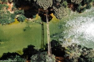 Côte d'Ivoire Tourismus